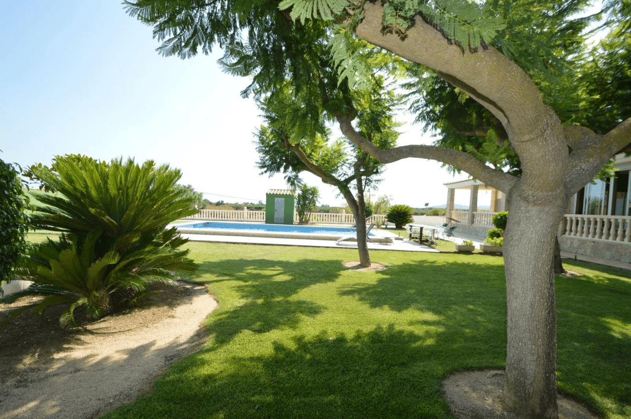 En venta finca con chalet en Vinaròs