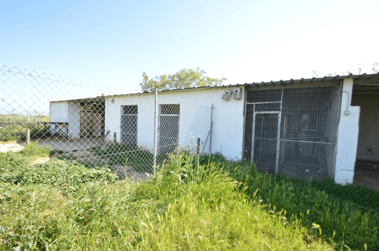 En venta Finca en Vinaròs, granja escuela
