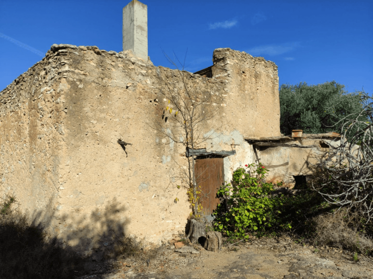 Finca de olivos en venta en Traiguera