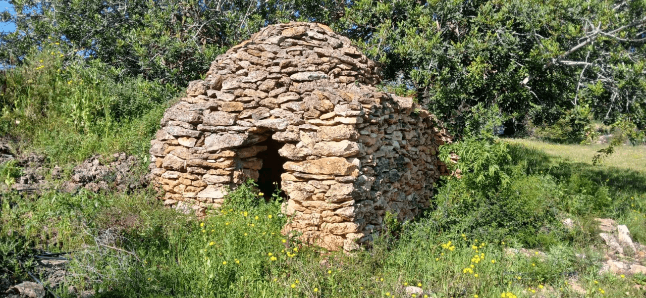 Finca en venta en zona Soterrañes Vinaròs
