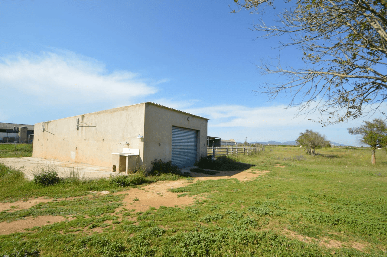 En venta Finca en Vinaròs, granja escuela