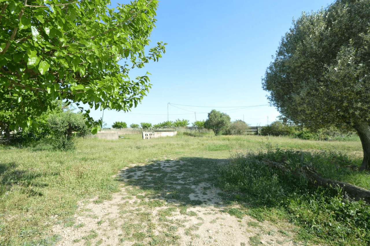 En venta Finca en Vinaròs, granja escuela