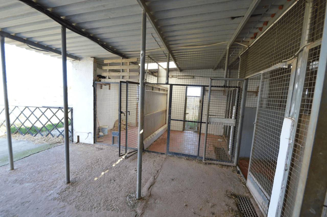 En venta Finca en Vinaròs, granja escuela
