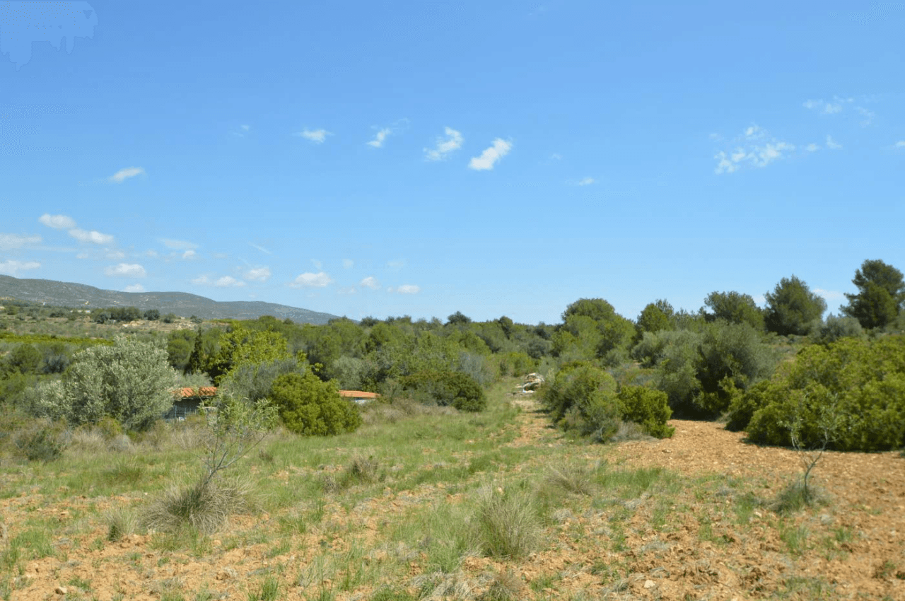 En venta, Finca rústica en Alcalá de Xivert (Castellón)