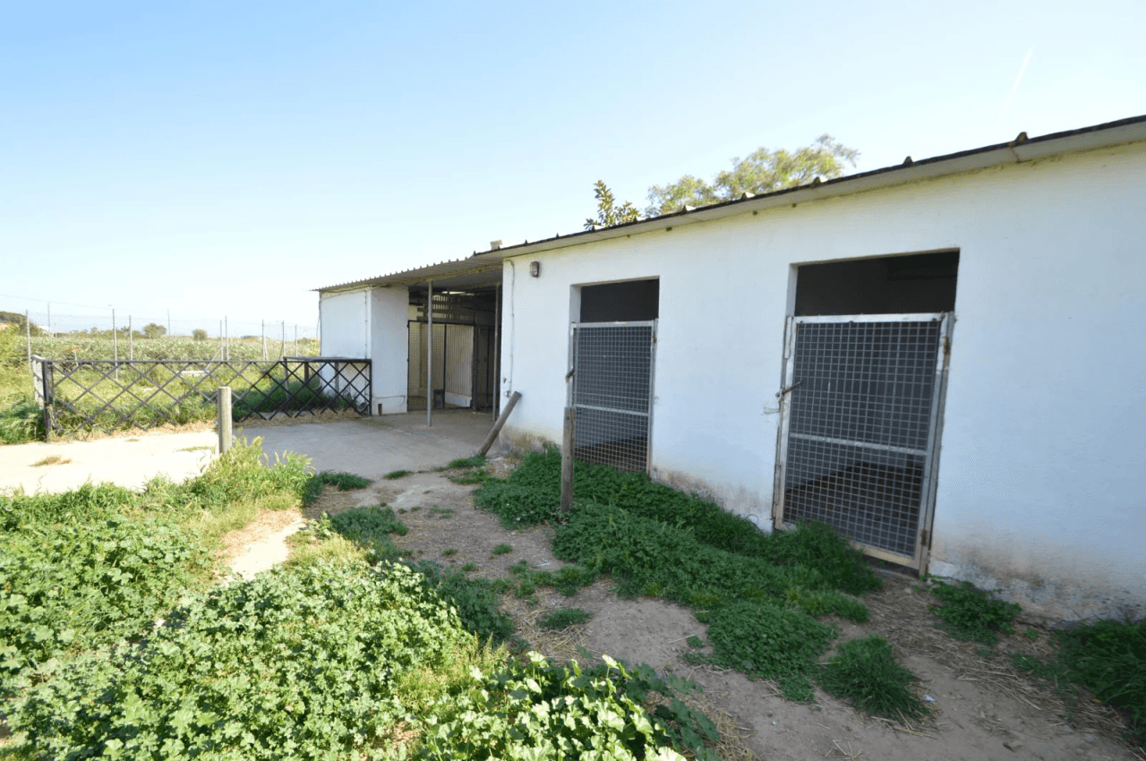En venta Finca en Vinaròs, granja escuela