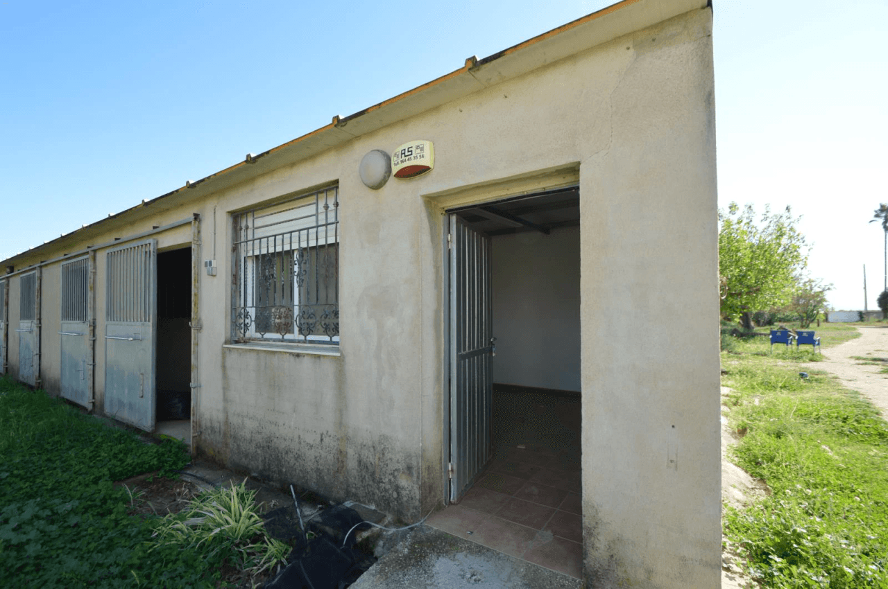 En venta Finca en Vinaròs, granja escuela