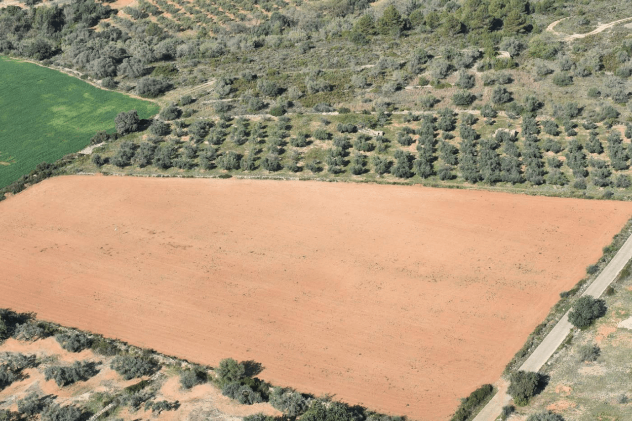 À vendre, finca rurale à Sant Jordi (Castellón)