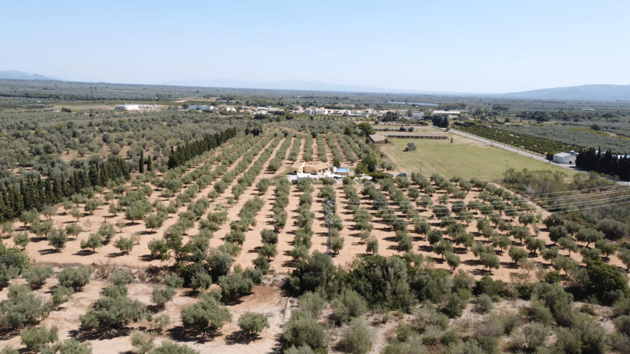 Finca en venta en Ulldecona con piscina y 3 dormitorios