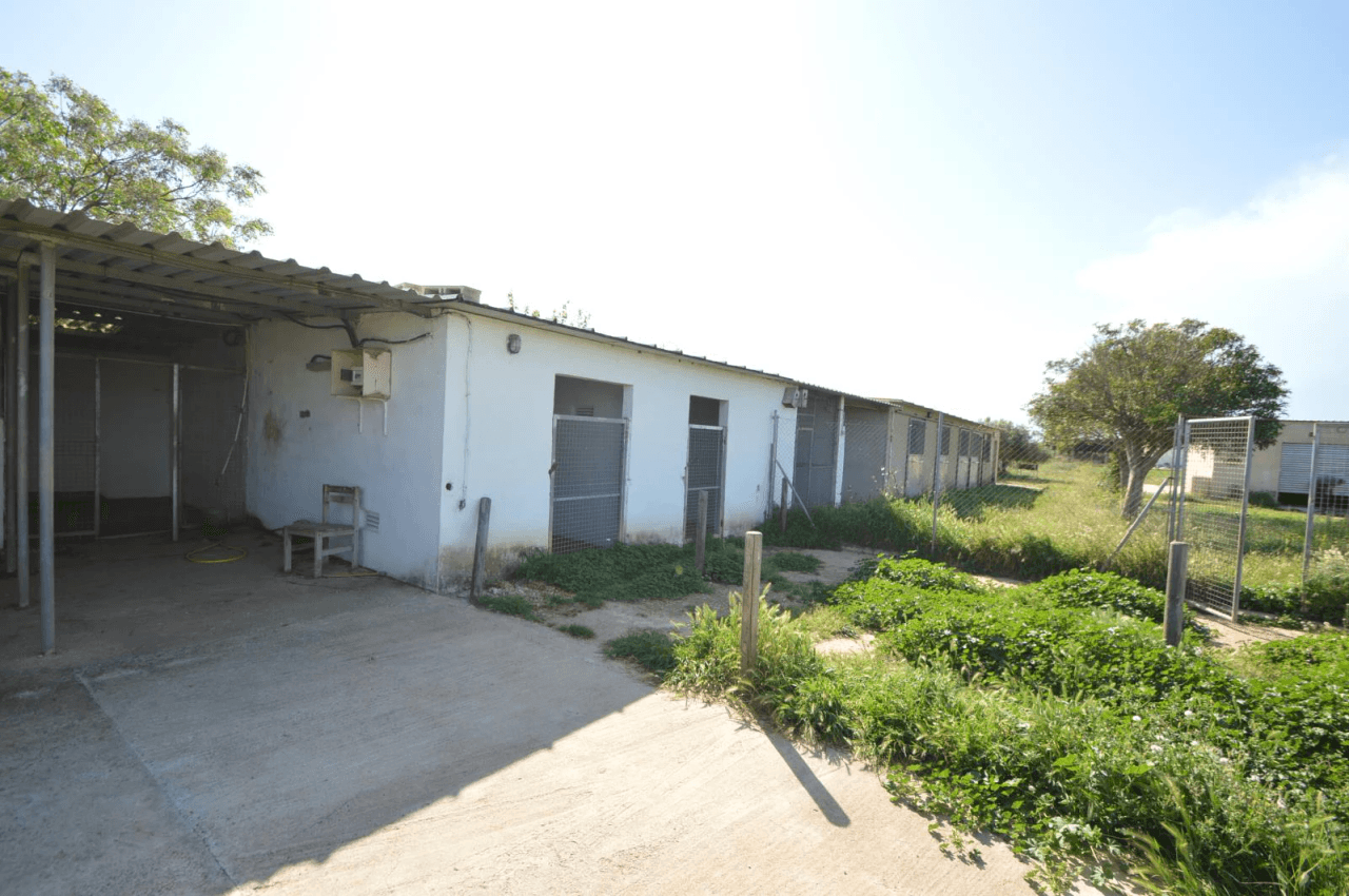 En venta Finca en Vinaròs, granja escuela