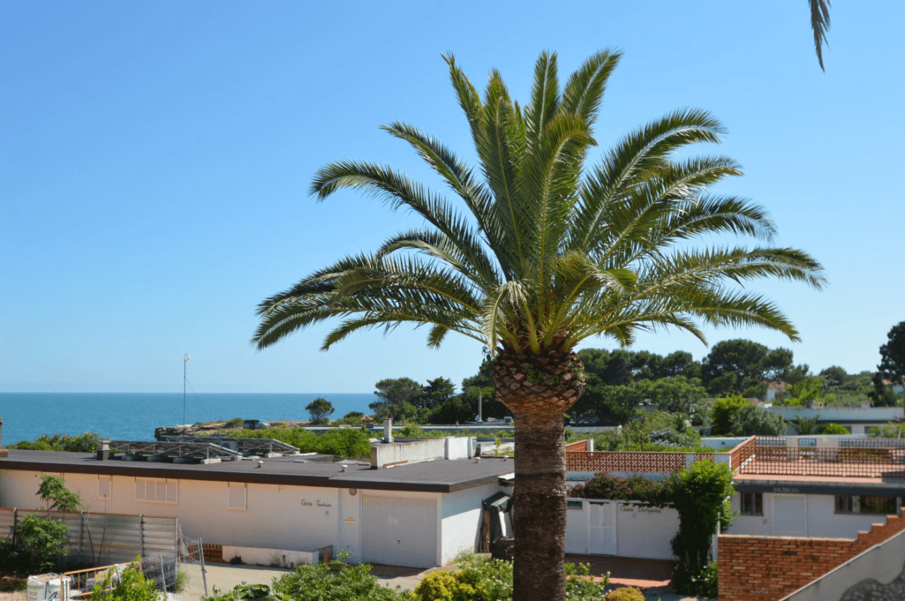 Dos chalets en venta en Vinaròs con piscina y barbacoa