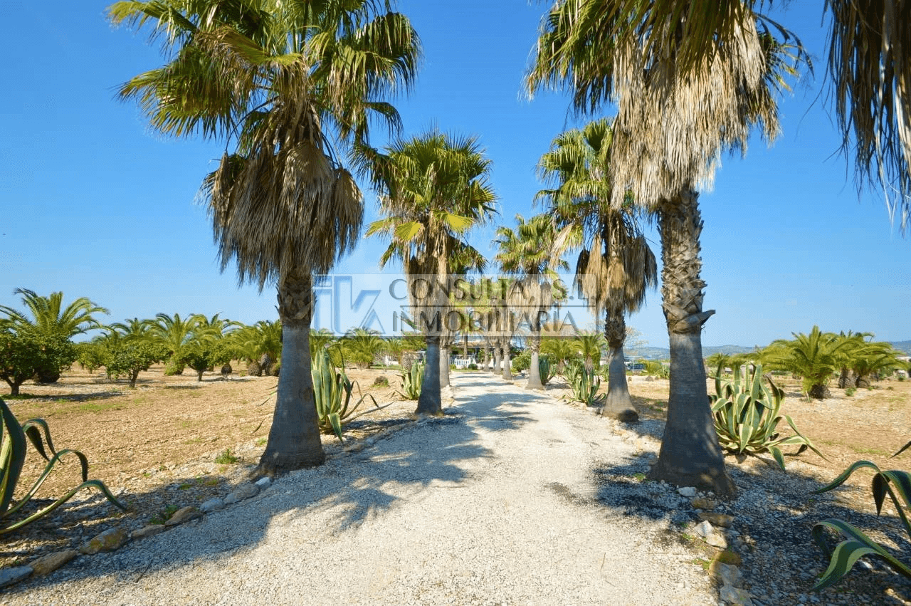 Finca en venta en Vinaròs con chalet y piscina.