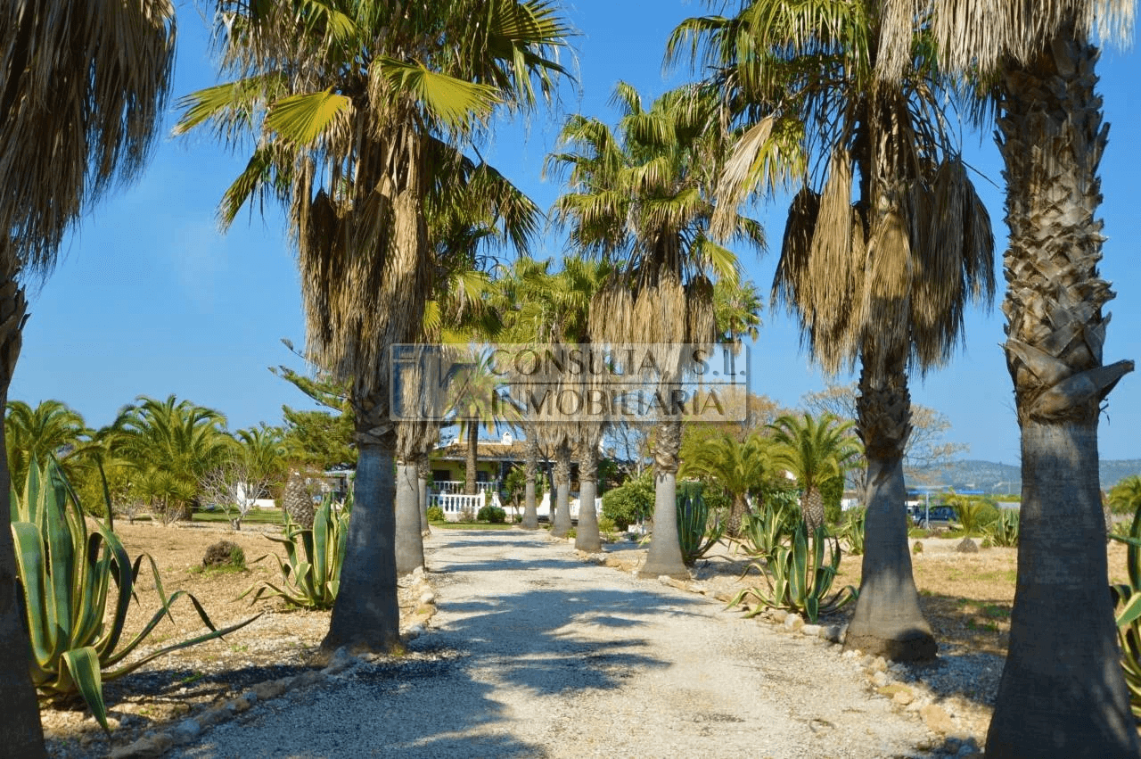 Finca en venta en Vinaròs con chalet y piscina.