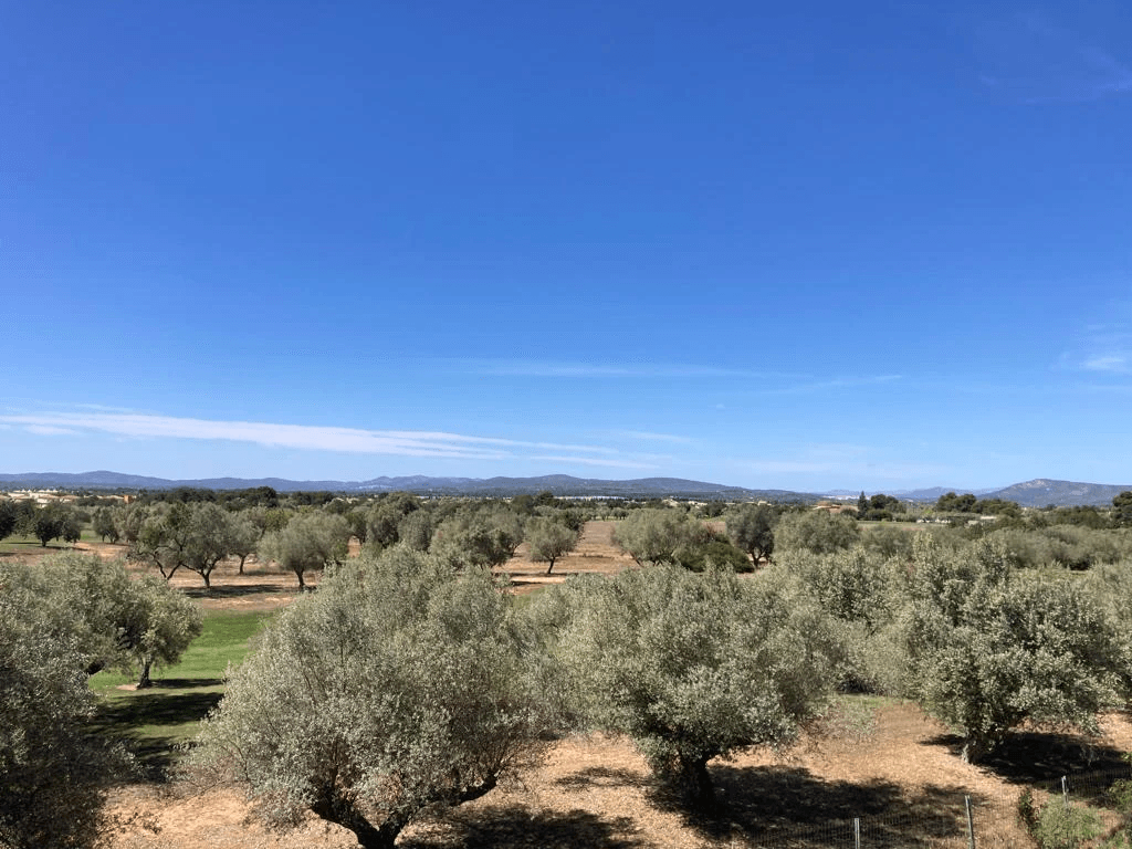 Chalet en venta en San Jorge con 2 dormitorios